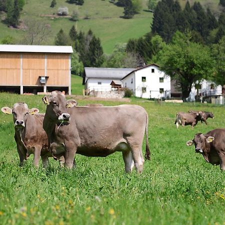 Ekoloska Turisticna Kmetija Pri Lovrcu Tolmin Dış mekan fotoğraf